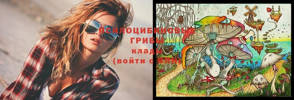 мет Санкт-Петербург