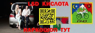 спиды Бердск