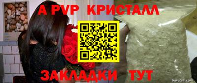 спиды Бердск