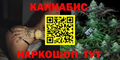 спиды Бердск