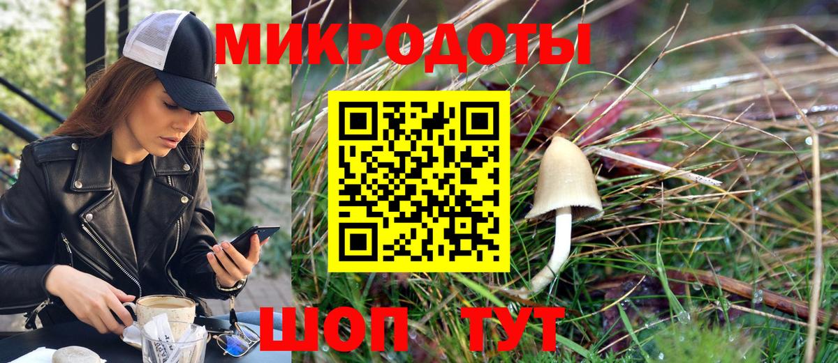 что такое   Псилоцибиновые грибы MAGIC MUSHROOMS  Вход с VPN  Белорецк  Галлюциногенные грибы Psilocybe 